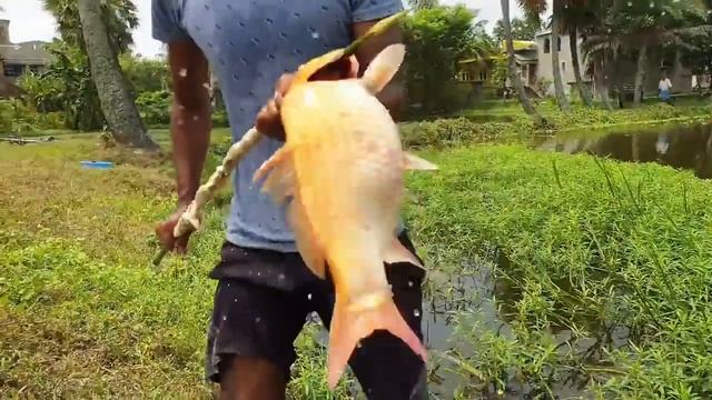 как ловили рыбу наши предки??? смотреть онлайн