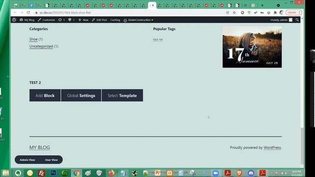 WordPress Help Desk - IEWP смотреть онлайн