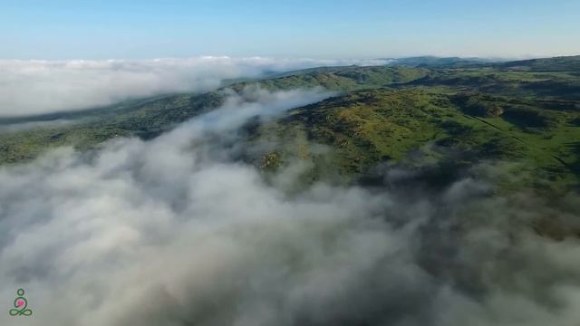 лечебная музыка для сердца и сосудов 🌿 успокаивает нервную систему и радует душу, Нежная музыка #39 смотреть онлайн