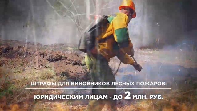 Соблюдайте правила пожарной безопасности в лесах смотреть онлайн
