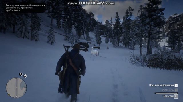 Лучшая БЕСПЛАТНАЯ лошадь в RED DEAD REDEMPTION 2! смотреть онлайн