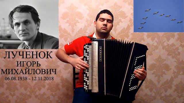 Игорь Лученок - "Жураўлі на Палессе ляцяць" (баян,кавер) смотреть онлайн
