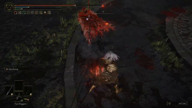 [Elden Ring] 12 Nagakiba vs Claymore смотреть онлайн