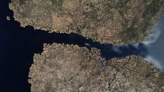 на САПБОРДЕ в ТУНДРУ ll сквозь ОГРОМНЫЕ БОЛОТА смотреть онлайн