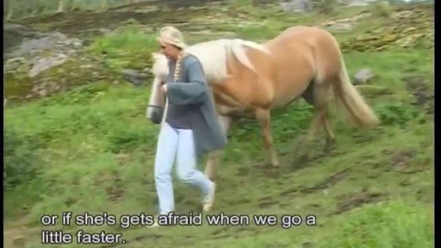 12-26 Horses with Problems - Grynet 2-2.m4v смотреть онлайн
