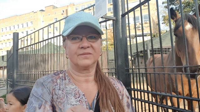ЛОШАДКИ * Московский Зоопарк смотреть онлайн