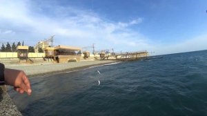 Ловля барабульки в черном море с пирса.