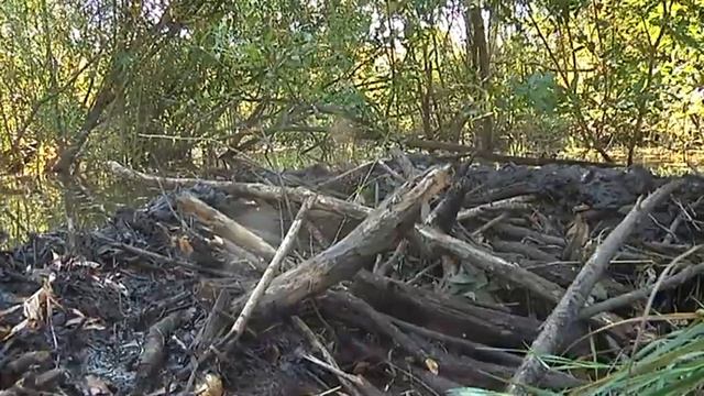 Сказочный край смотреть онлайн