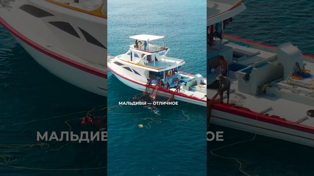 Муж не хочет на Мальдивы? Покажи ему это... смотреть онлайн