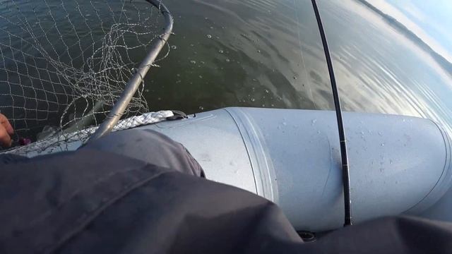 Ловля судака на Волчихинском водохранилище смотреть онлайн