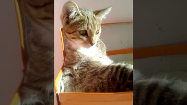 Не знаю про что снять видео😱