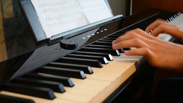 Танец гномов - Л. Шитте | Casio PX-S1100 смотреть онлайн