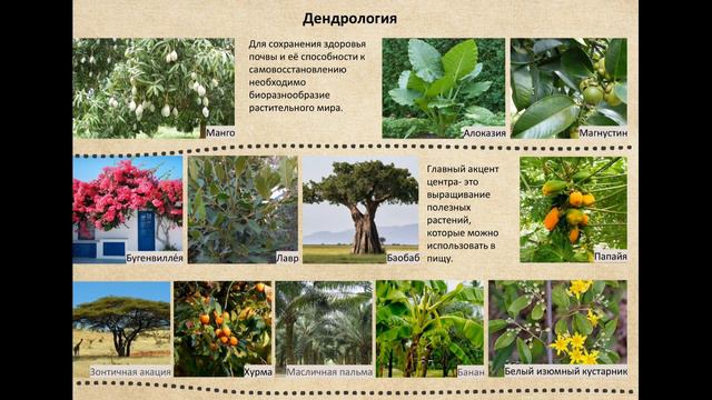 Африка смотреть онлайн