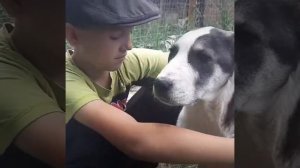 Выпускница питомника ЗУР БАШИ ЮЛДУЗ⭐4 мес (вл. Виктор г.Самара)🐾