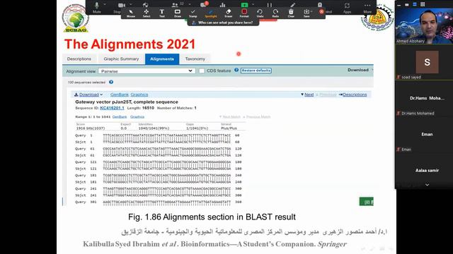 كيفية تفسير نتائج برنامج BLAST смотреть онлайн