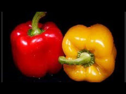 Посадка перца в нетканые мешочки. смотреть онлайн