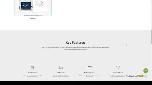 Sleezy Lifestyle - Marketing WordPress Theme gallery minimal Build Website смотреть онлайн