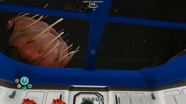 база в глубокой пещере кувшинок с красивыми хлопковыми анемонами ?