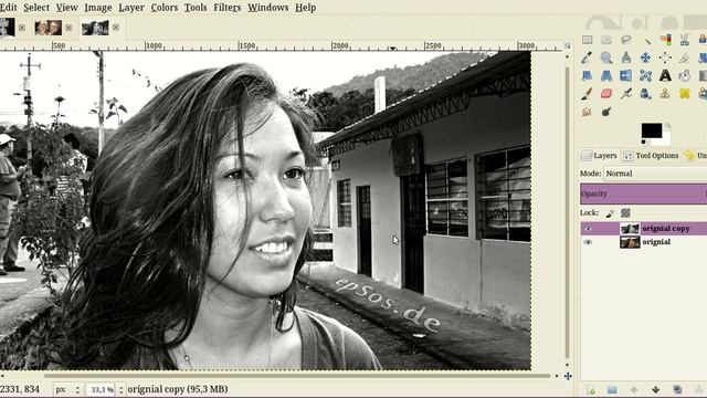 How to Create Black and White Pictures with Gimp Video Tutorial смотреть онлайн