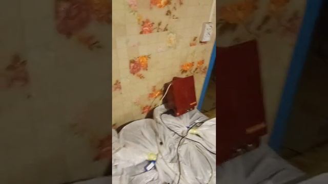 ЛУЧШИЙ ЭЛЕКТРОПАСТУХ(СТАТИК-3М) смотреть онлайн