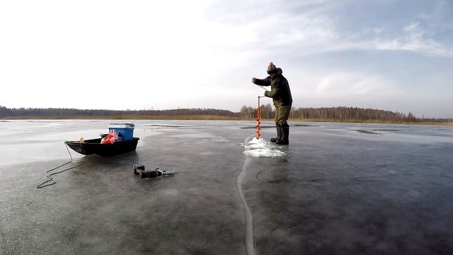 Ледобур плюс шуруповерт BOSCH против ледобура Heinola Speedrun Classic 135 mm. смотреть онлайн