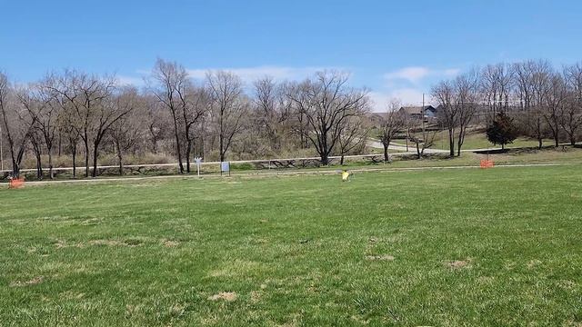 OMPHOBBY M4 | First Flights & Impressions