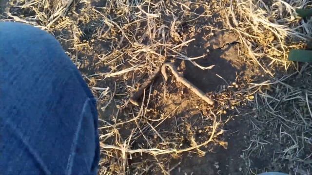 КОП НА МЕСТЕ ДЕРЕВНИ ***БЕЗ МОНЕТ НЕ ОСТАЛСЯ*** смотреть онлайн