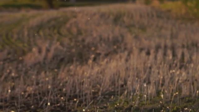 Sony A37 Test Footage with Light смотреть онлайн