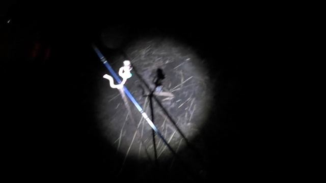 А порыбалимка 4/20г. О чем молчали семь рыбалок. смотреть онлайн