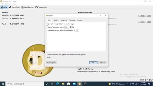 How to setup a Full DOGECOIN Node - 2021 - Easy #Dogecoin Tutorial смотреть онлайн
