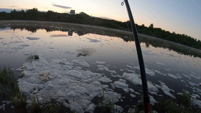 РЫБА САБЛЯ | Ловля чехони на поплавочную удочку смотреть онлайн
