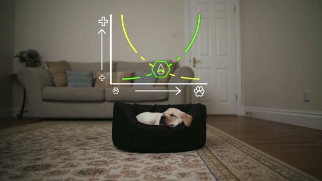 PURINA® PRO PLAN® Puppy with OPTISTART® смотреть онлайн