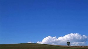 Люблю, Господь, Твой, Дом...