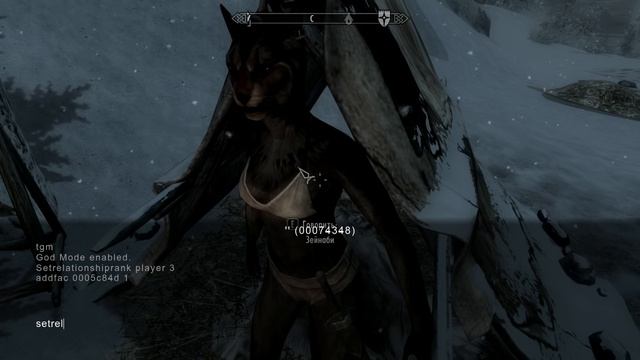 Как сделать любого Персонажа компаньоном Skyrim смотреть онлайн