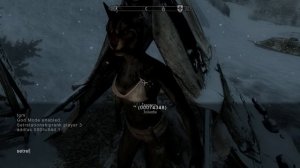 Как сделать любого Персонажа компаньоном Skyrim