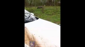 Обзор. Автомойка аккумуляторная.