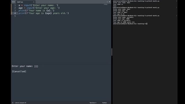 Python Series: Input Statement and FStrings (Part 4) смотреть онлайн