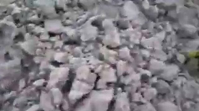 Посадка арахиса Ч1 смотреть онлайн