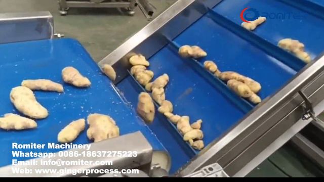 Производственная линия по производству ломтиков обезвоженного имбиря