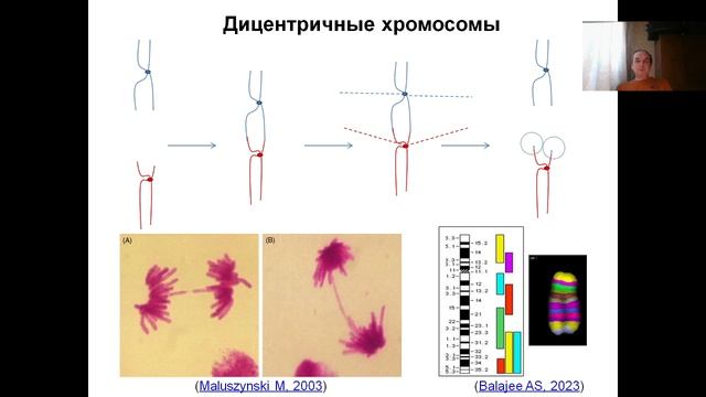 Лекция 14 (2023) Биология рака.