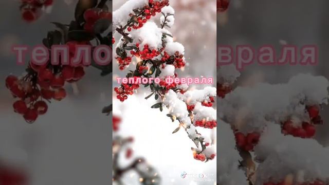 Привет, февраль! С 1 февраля!