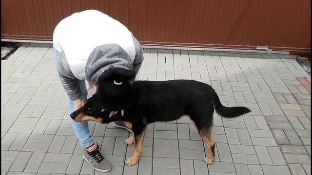 Ресницы по-королевски