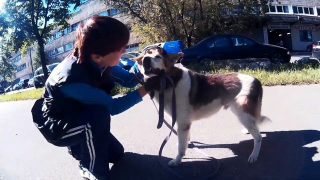 Шерик смотреть онлайн