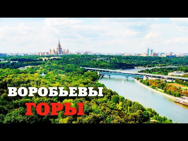 Прогулка по Воробьевым горам смотреть онлайн
