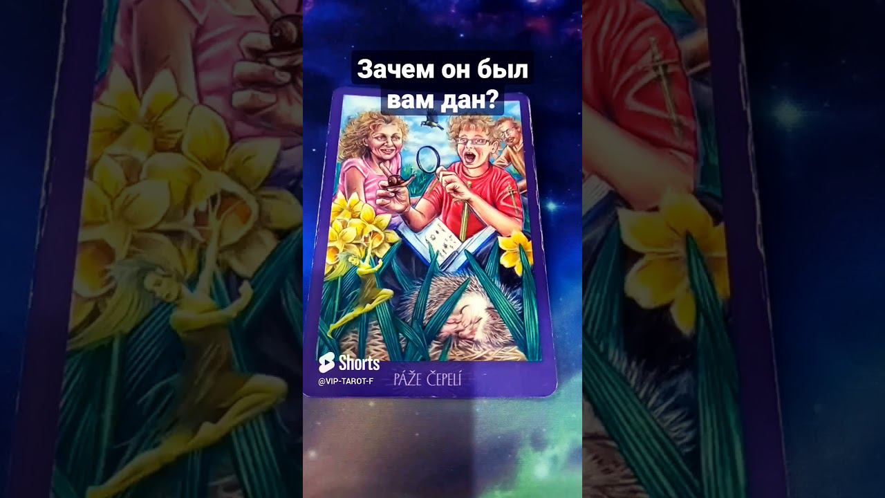 ВЫСШИЙ ЗАМЫСЕЛ. ЗАЧЕМ ОН БЫЛ ДАН расклад на картах таро гадание онлайн смотреть онлайн