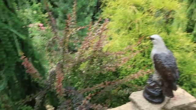 БАРБАРИСЫ в моем саду смотреть онлайн