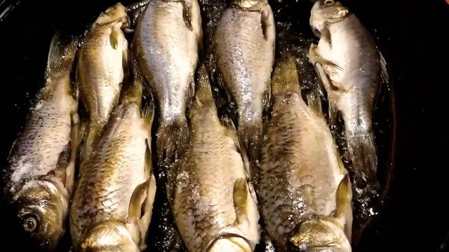 Есть решение для мелкой рыбы! смотреть онлайн