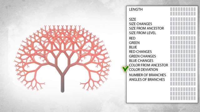 Алгоритм генерации цифровых растений. смотреть онлайн