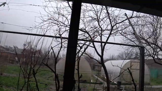 Подкармливаем птиц🕊🦅🦉 Редиска пошла курицам🐔 Снова снегопад🕸🕸🕸 смотреть онлайн