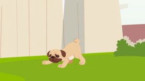 10 натуральных способов избавиться от блох